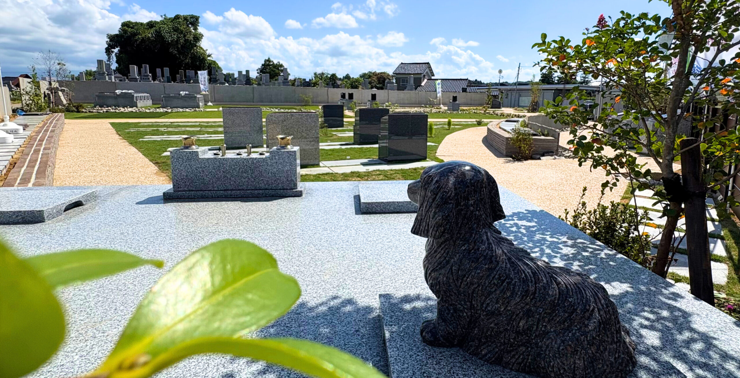 ペットと一緒に入れるお墓