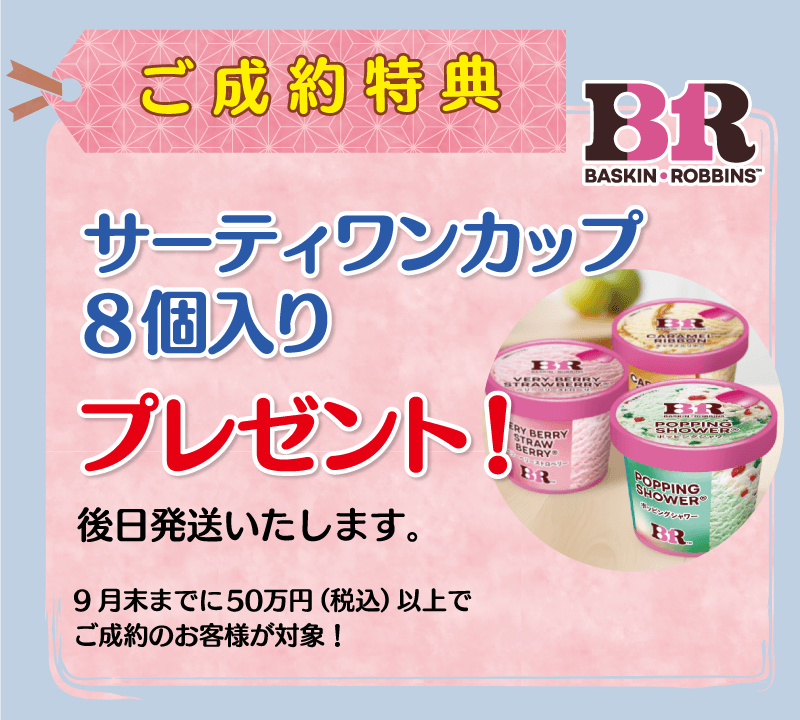 31ポーションセット